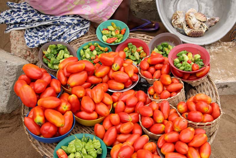 SpringFactor Netherlands